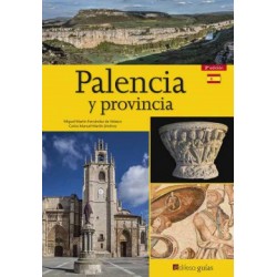 PALENCIA Y PROVINCIA